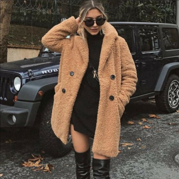 NWOT ZARA TEDDY BEAR COAT 🧥 - Picture 1 of 8